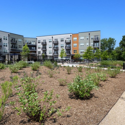 Settle into comfort at The Banks a path with plants and trees by buildings