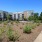 a path with plants and trees by buildings